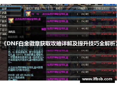 《DNF白金徽章获取攻略详解及提升技巧全解析》